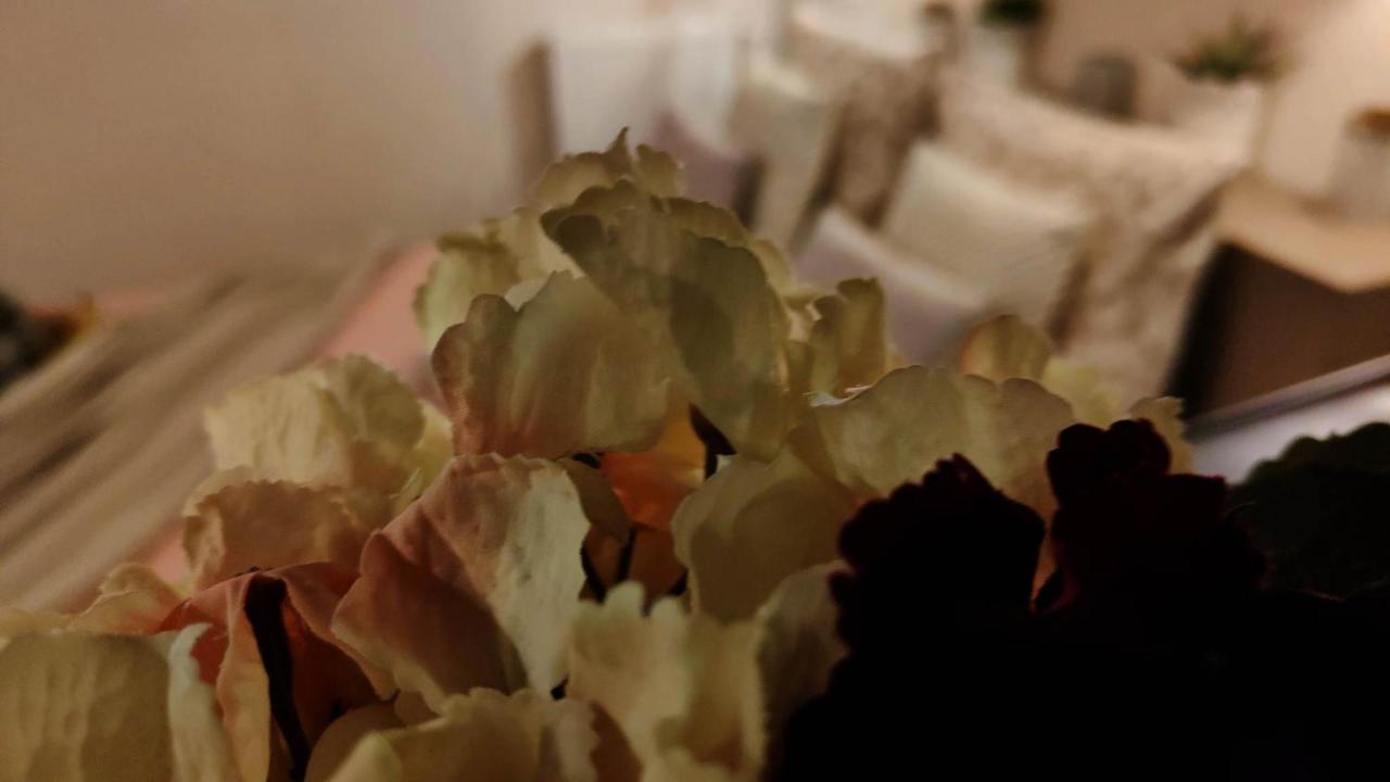 Les Reves D'Eglantine Et D'Augusta Chambres Et Gites Saint-Cyr  Екстер'єр фото